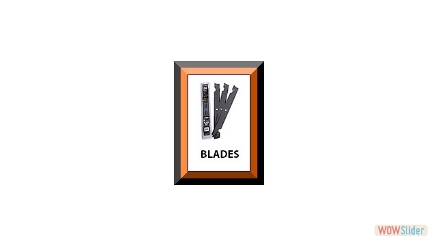 CLICK HERE FOR THE BLADES